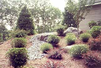 HOA community landscape with shared green spaces