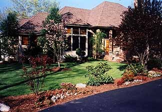 Premium landscape design with specimen trees and ornamental grasses
