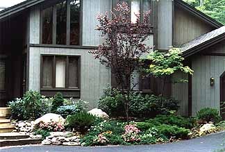 Full front yard landscape renovation with flowering shrubs